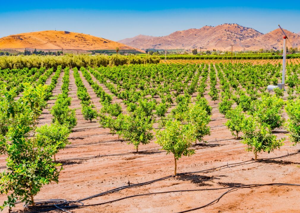 California: Fresno